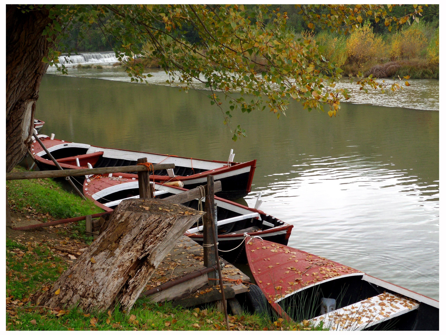 Autumn in Tuscany