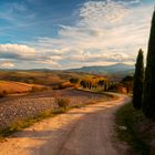 Autumn in val d'Orcia