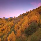 Autumn in valley of death