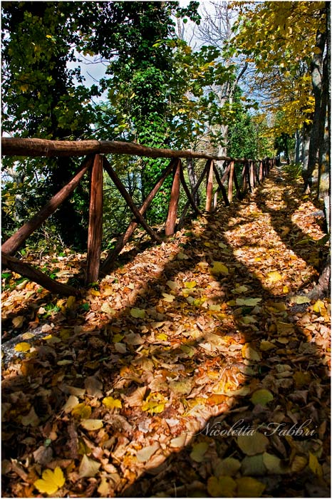 autumn in valmarecchia 3