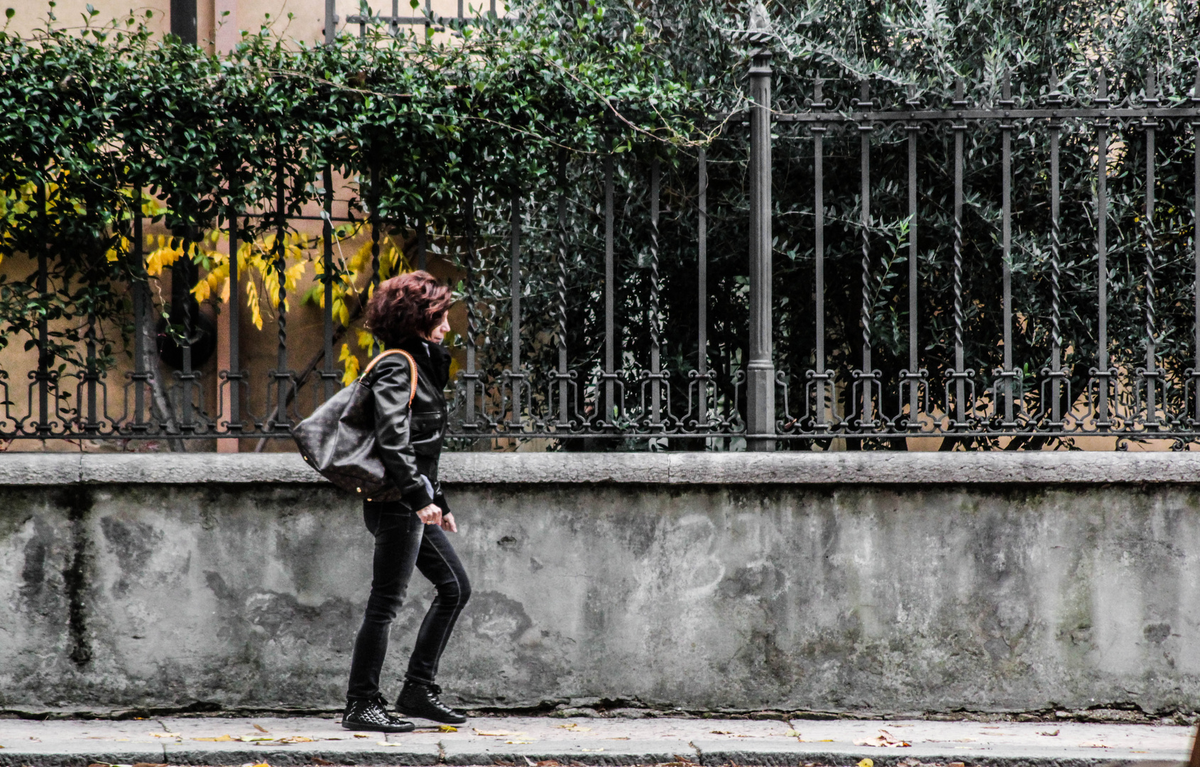 Autumn in Verona