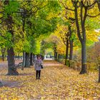 Autumn in Vienna