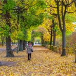 Autumn in Vienna