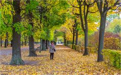 Autumn in Vienna