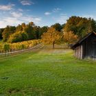 Autumn in vineyard