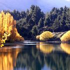 Autumn in Wanaka