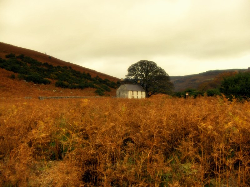 Autumn in Wicklow