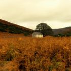 Autumn in Wicklow