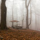 autumn in winter in north of Iran