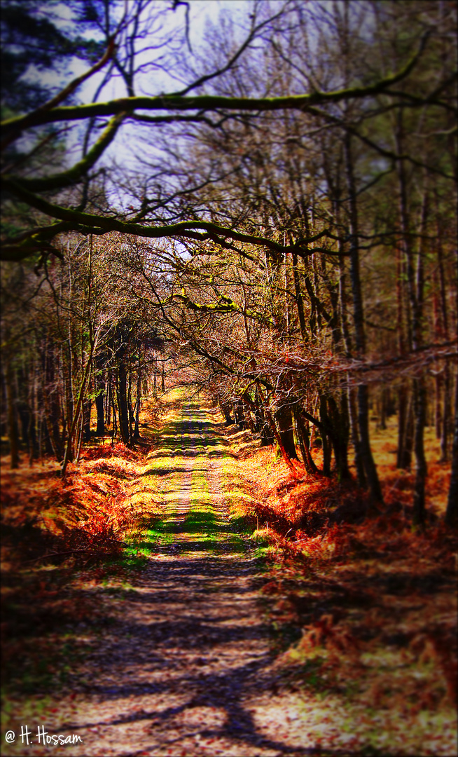 Autumn Inspiration, Rambouillet