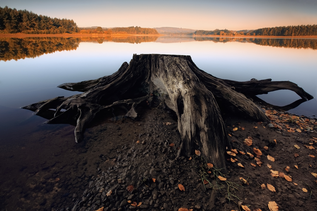 Autumn (Ireland co.Wicklow)