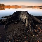 Autumn (Ireland co.Wicklow)