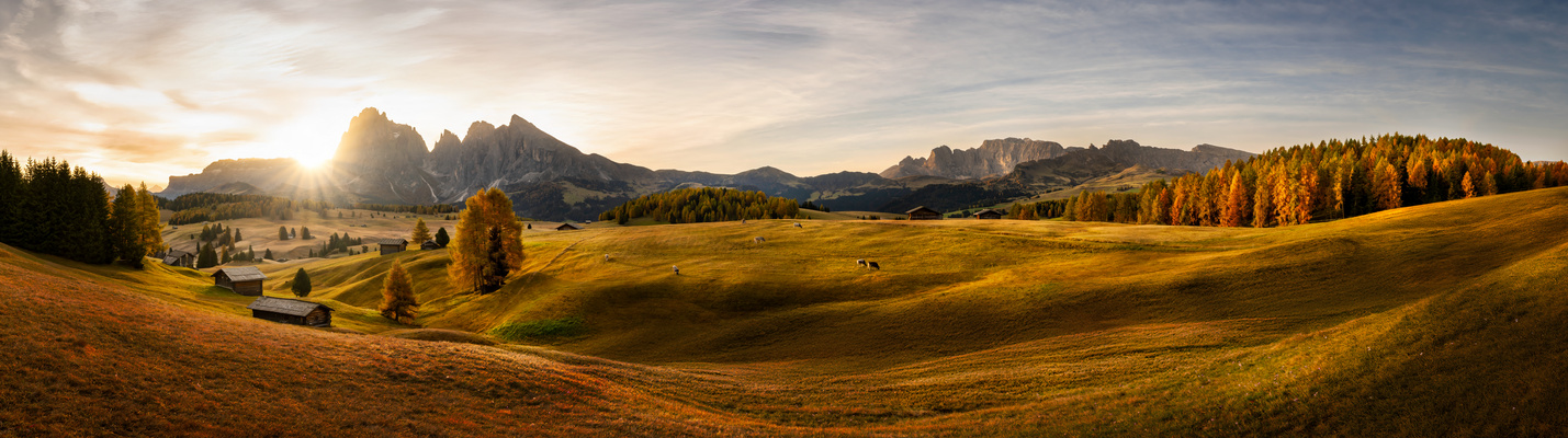 [autumn is calling...]