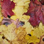 Autumn is watching you