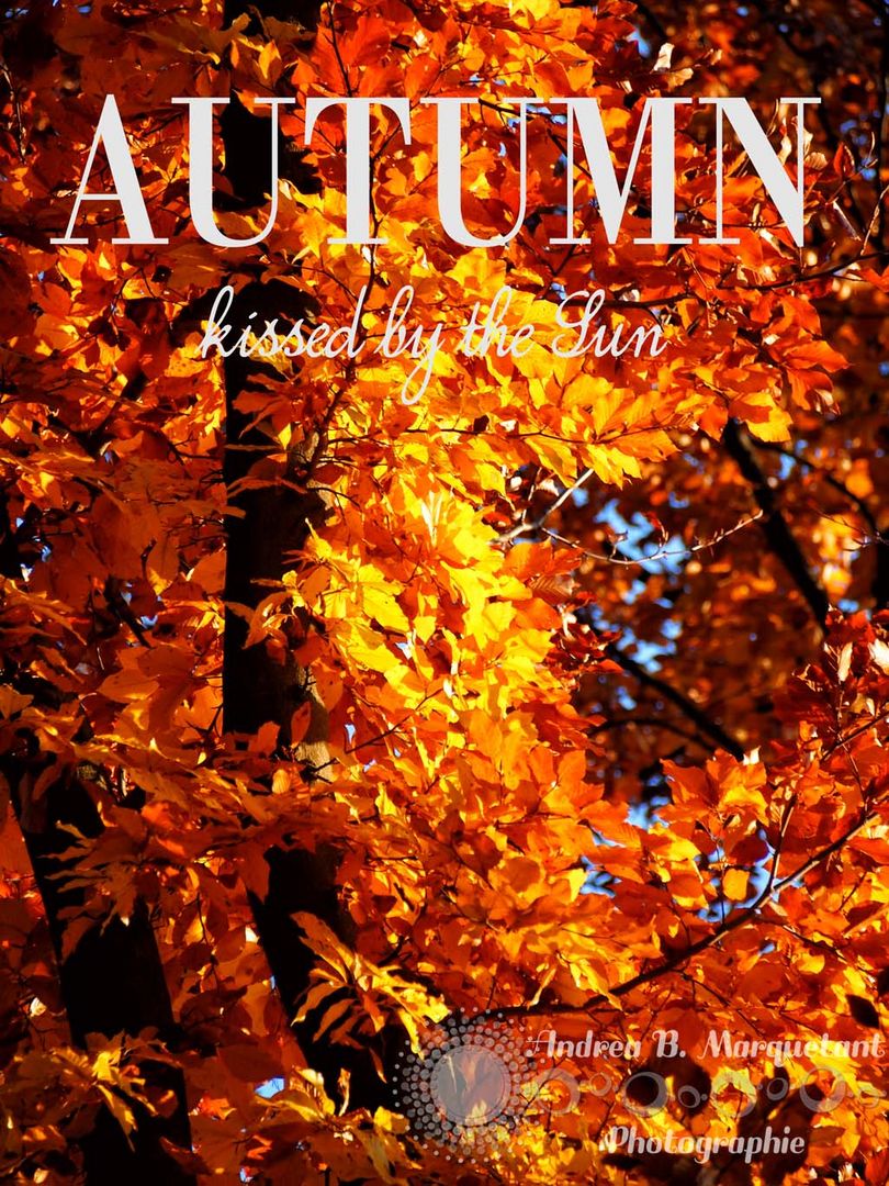 Autumn - kissed by the Sun