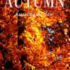 Autumn - kissed by the Sun