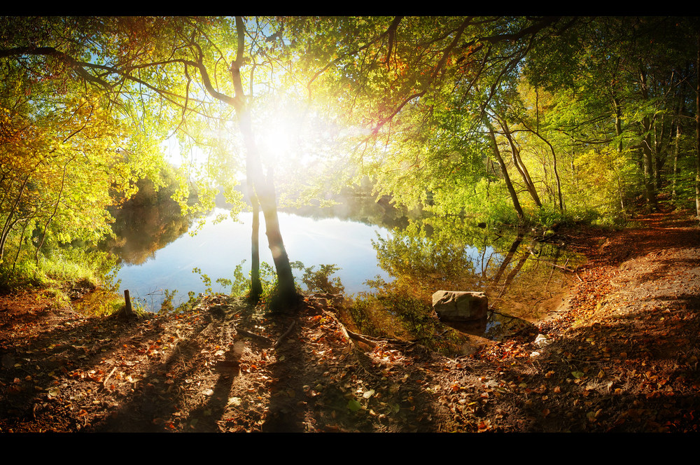 autumn lake