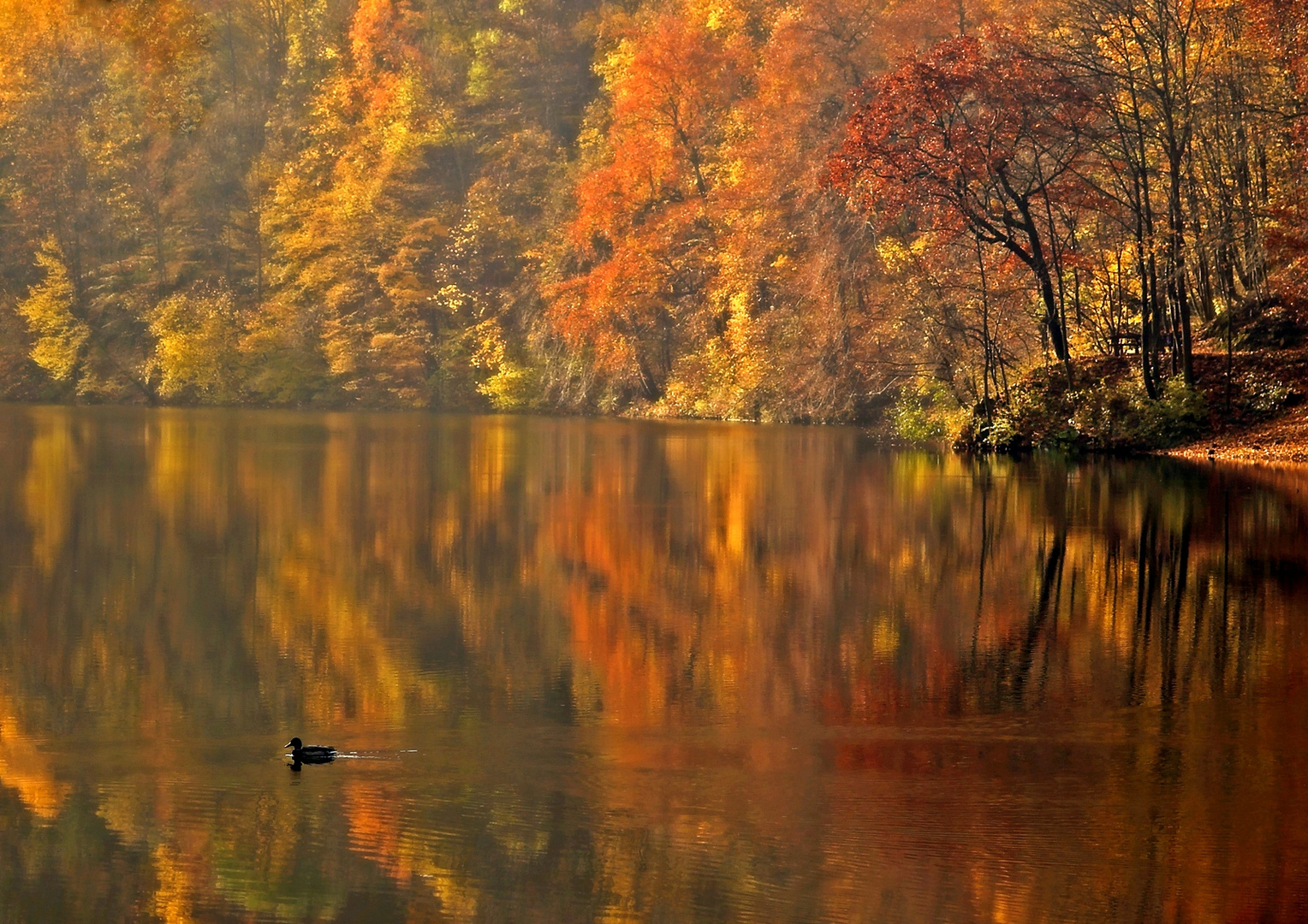 Autumn Lake