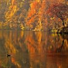 Autumn Lake