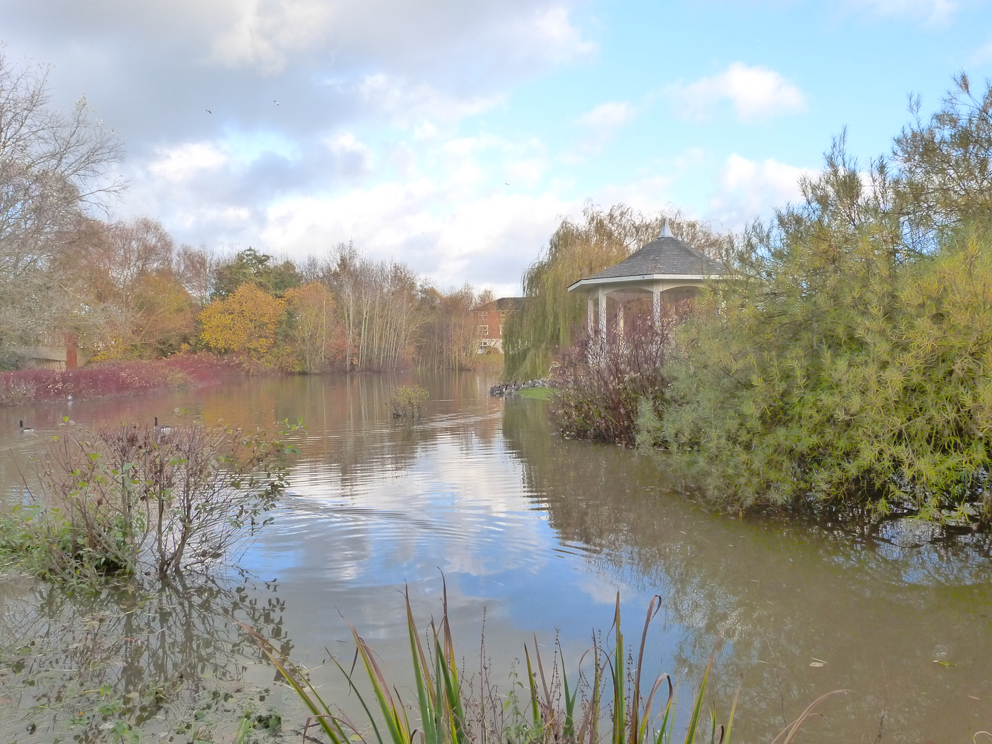 Autumn Lake