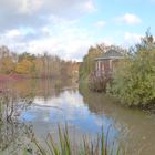 Autumn Lake