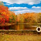 Autumn Lake