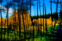 Autumn Landscape