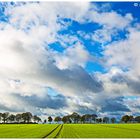 Autumn Landscape