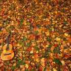 Autumn Leaves