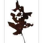 Autumn Leaves #3 (Pencile of Nature)