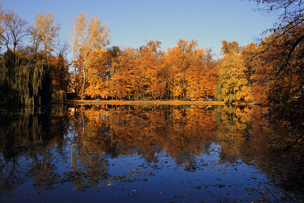 ~ autumn light ~