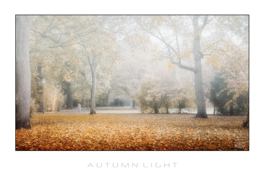 Autumn Light VI