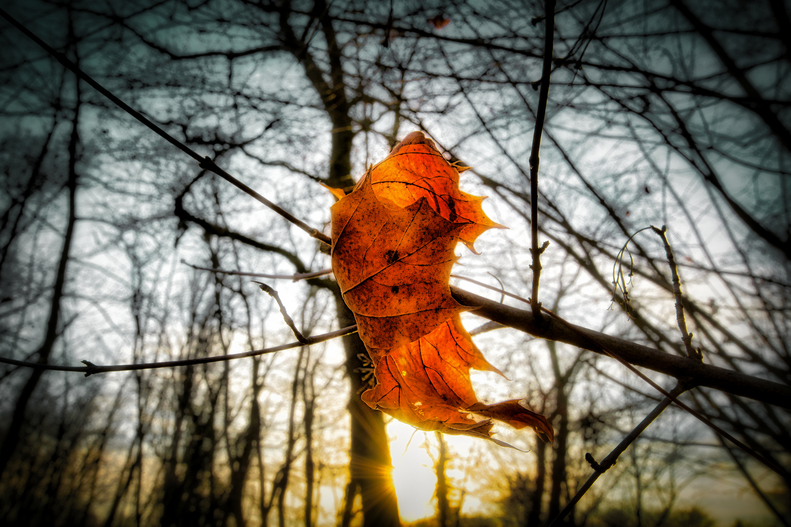 Autumn-light's . . .