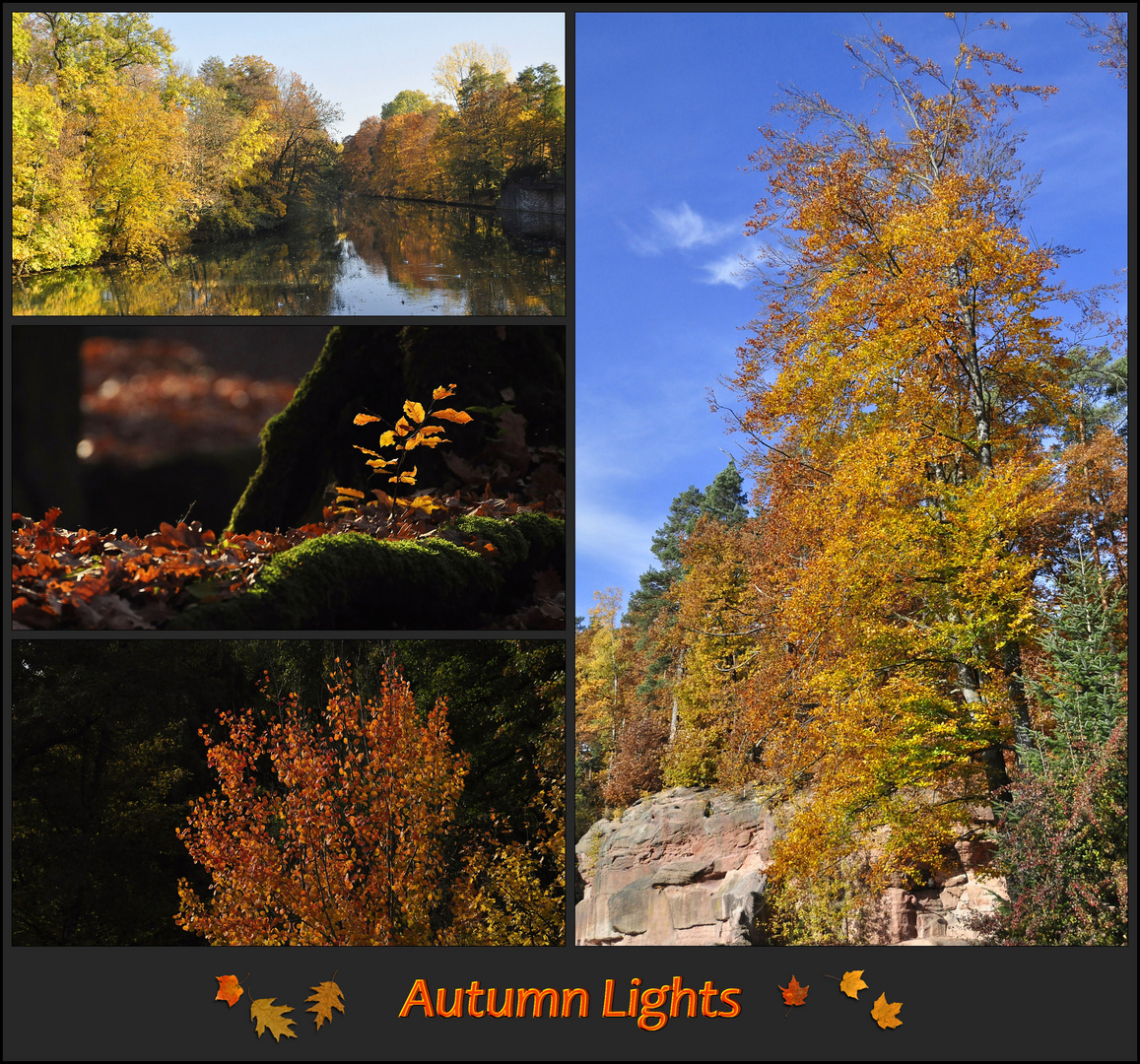 Autumn Lights - Die Collage 2