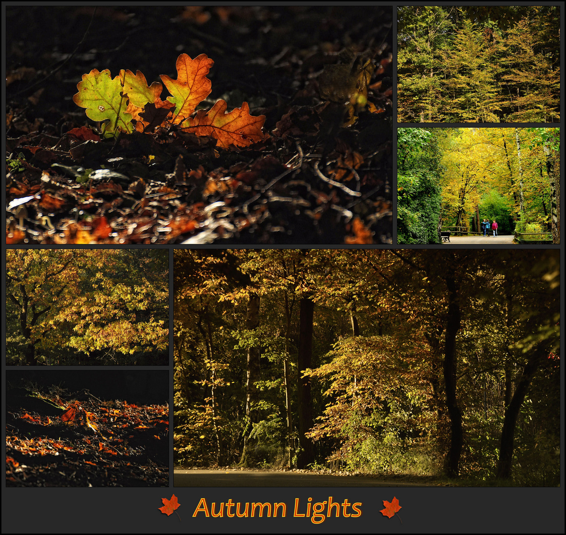 Autumn Lights - Die Collage