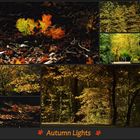 Autumn Lights - Die Collage