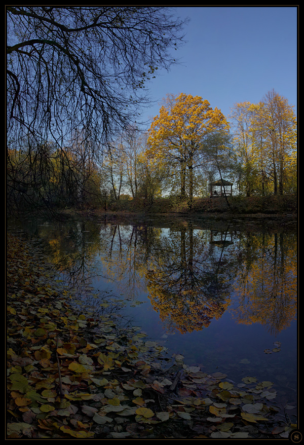 Autumn. Loneliness.