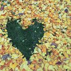 Autumn Love