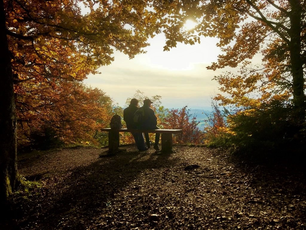 Autumn Love Bench