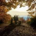 Autumn Love Bench