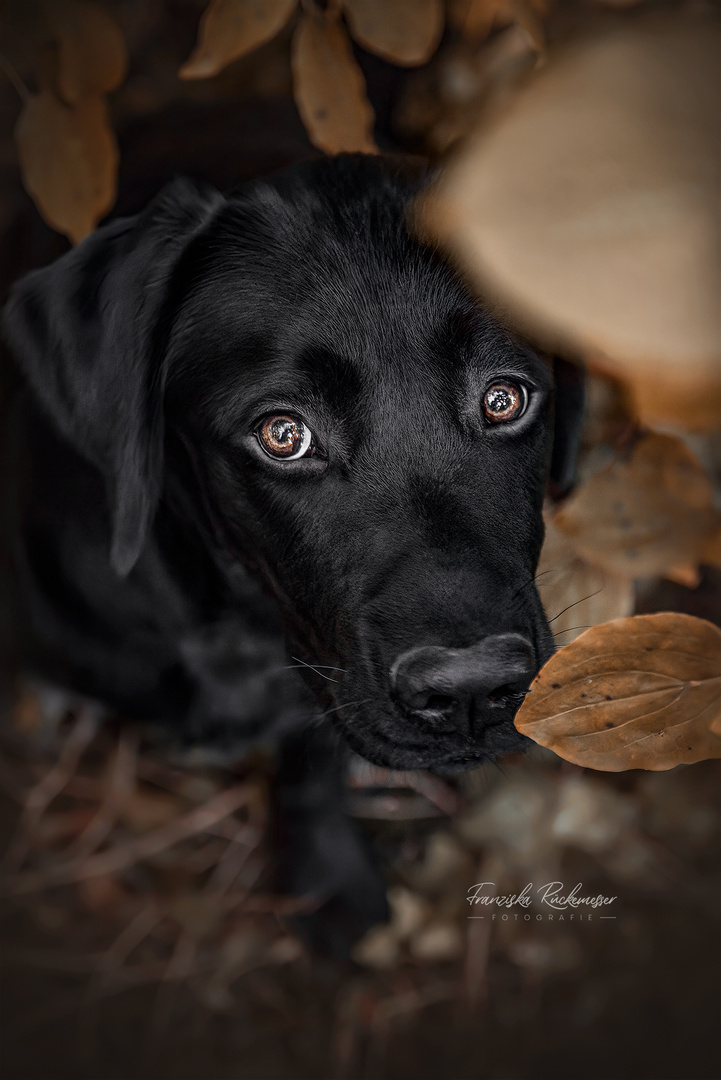 Autumn Marley