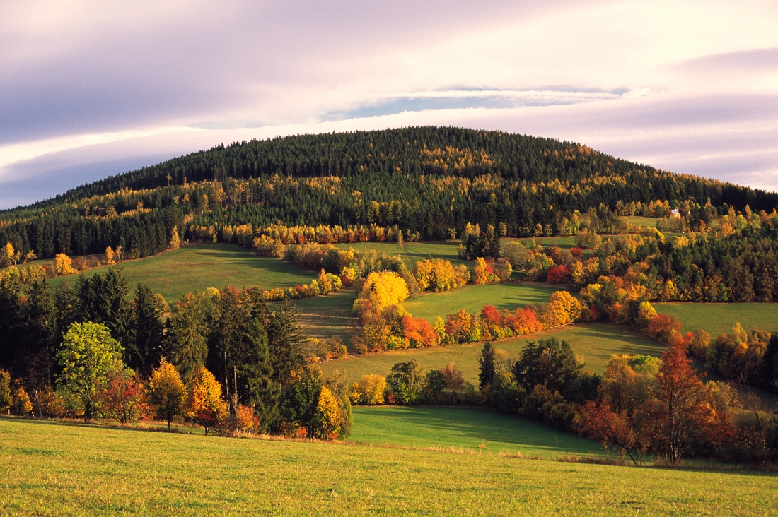 Autumn meadows