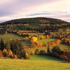 Autumn meadows