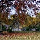 Autumn meets Graveyard