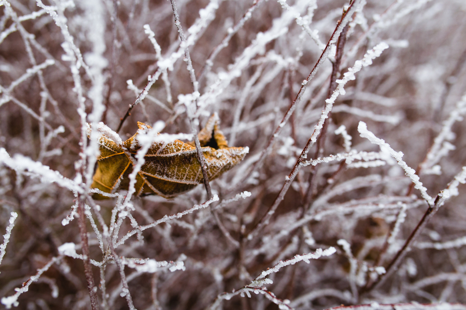 Autumn meets Winter