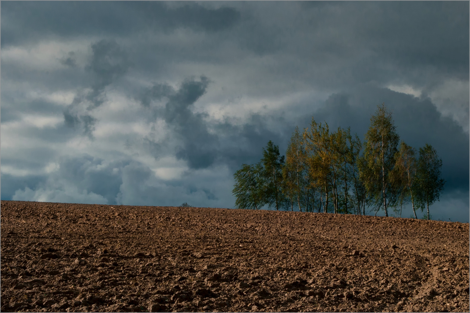 Autumn Melancholy