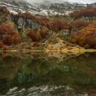 Autumn mirror 