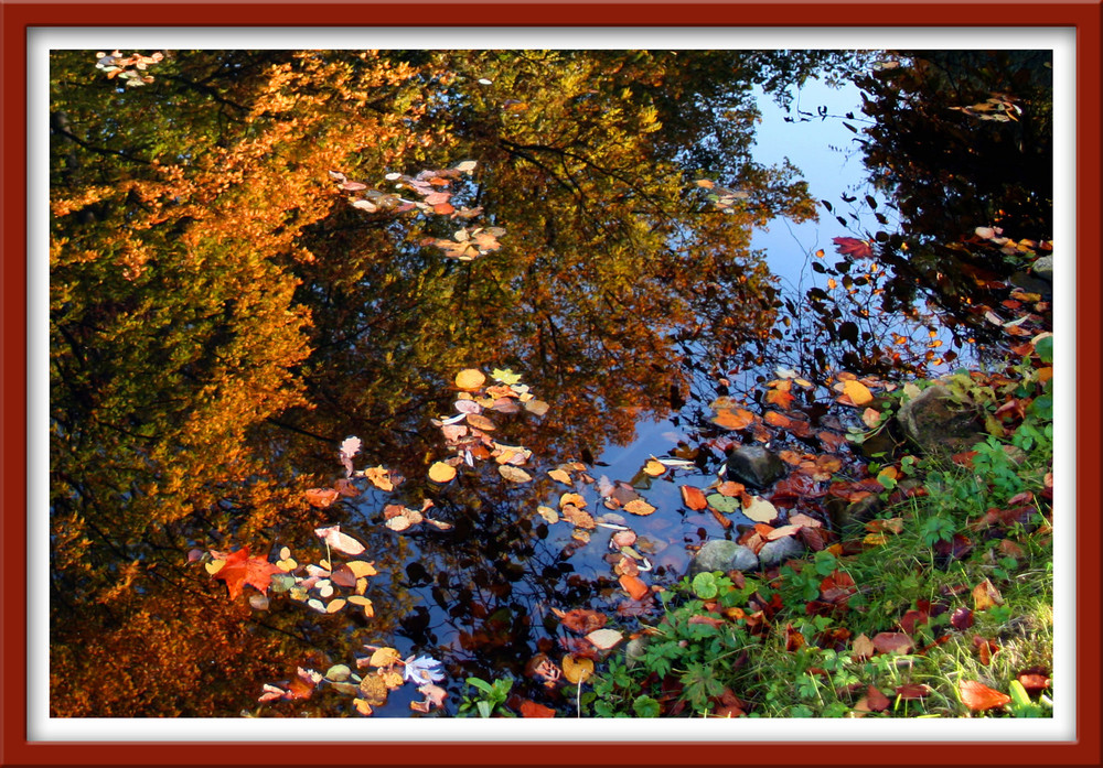 Autumn Mirror