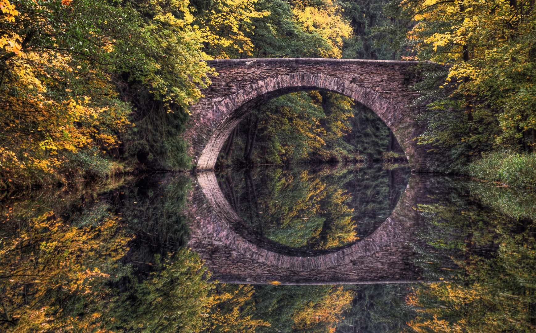 Autumn-Mirror