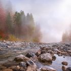 Autumn mist over river and forest